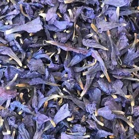 تصویر 1 از خرید و قیمت گل گاو زبان شمال + فروش صادراتی